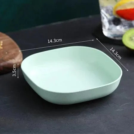 10pcs Plates Set With Holder ( Random Colours )