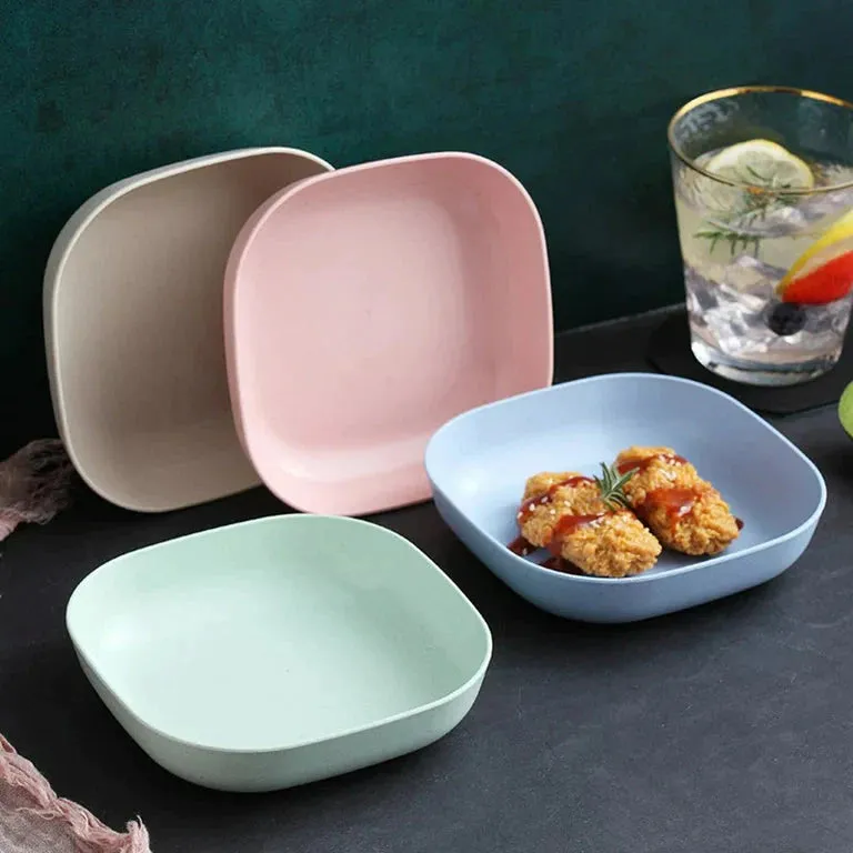 10pcs Plates Set With Holder ( Random Colours )