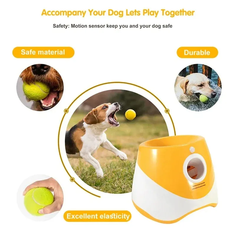 Automatic Dog Ball Launcher