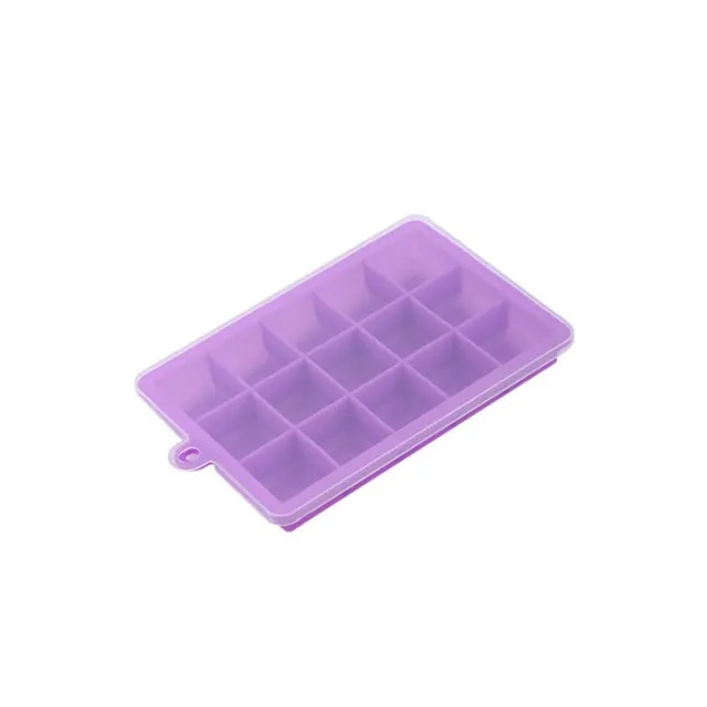 Fruit Ice Cube Maker Bar