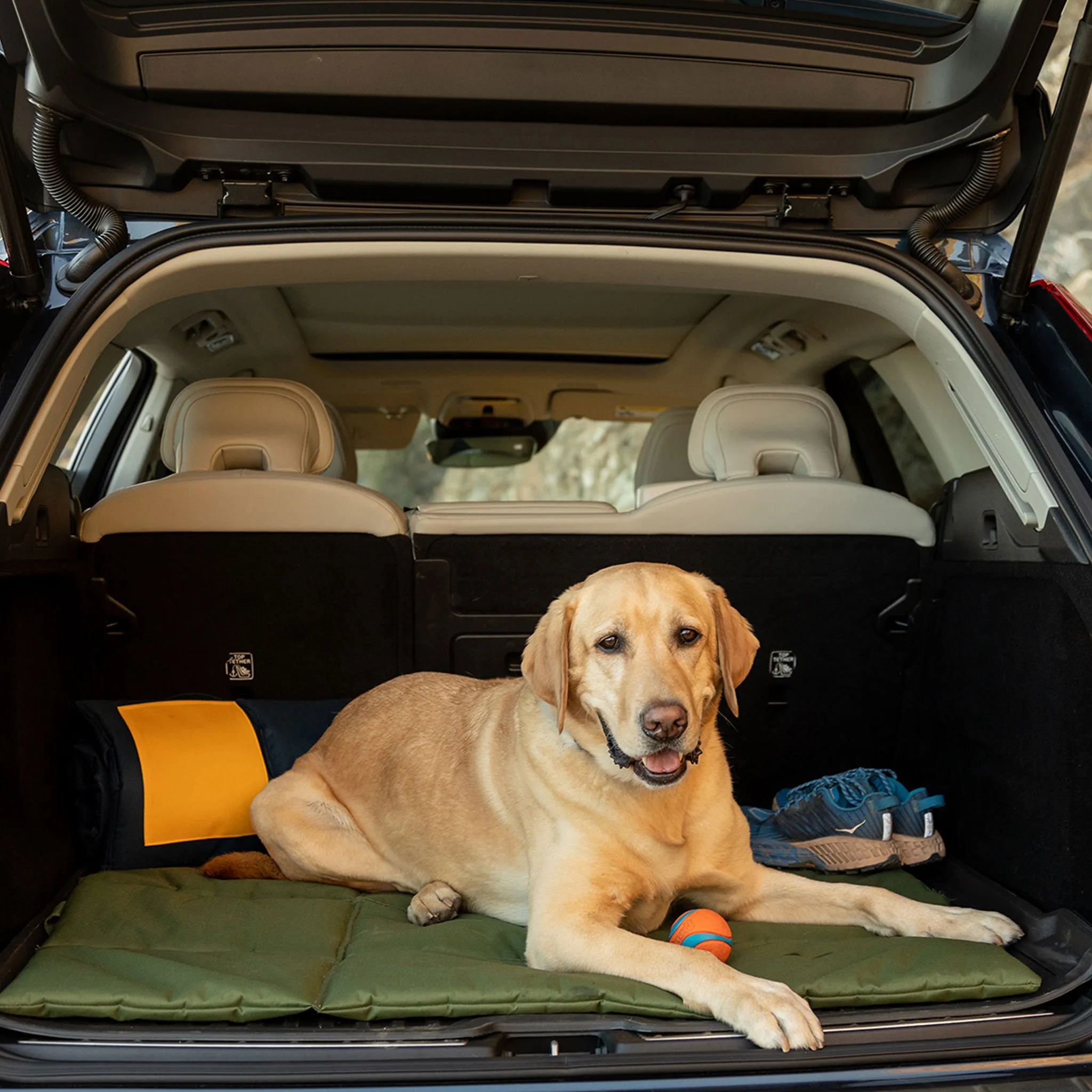 Jax & Bones 3 in 1 Roll Up Mat - Olive