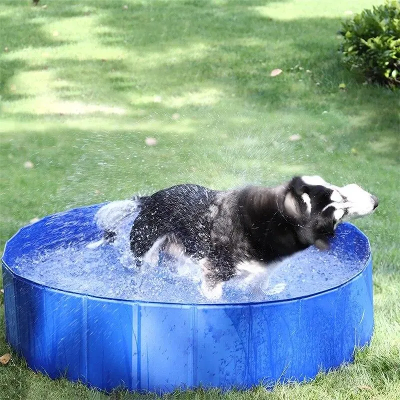 Portable Large Dog Swimming Pool