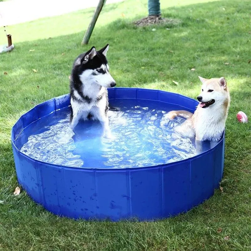 Portable Large Dog Swimming Pool